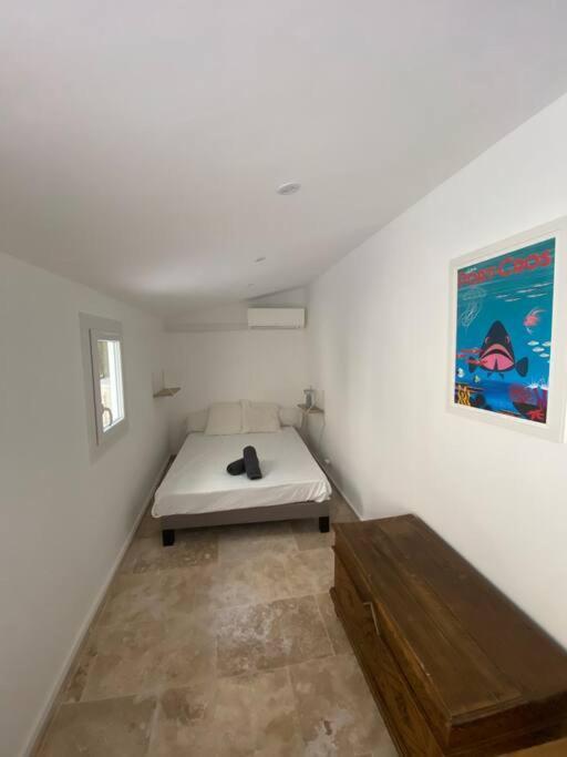 Apartment Superbe A 5 Minutes A Pied De La *
